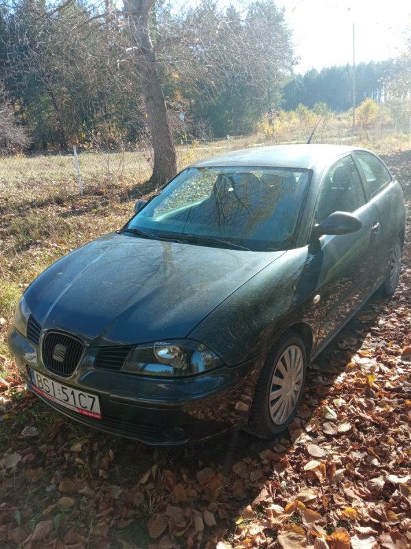 Seat Ibiza