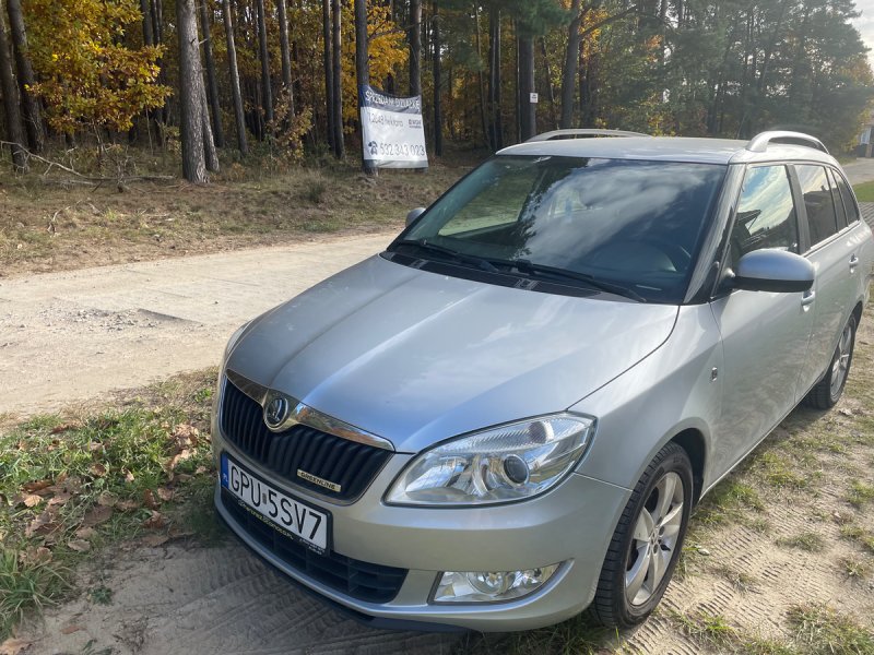 Skoda fabia - 02