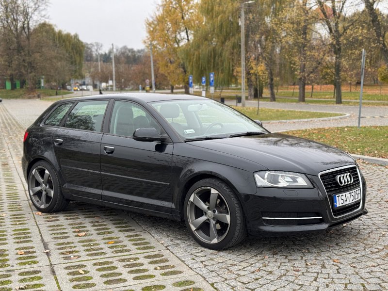 Audi A3 8P Sportback 1.6 TDI