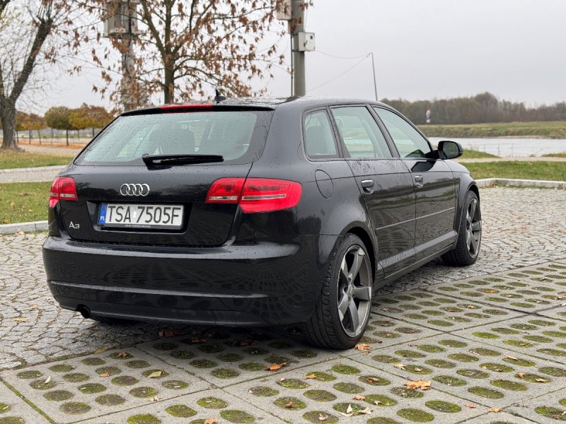 Audi A3 8P Sportback 1.6 TDI - 06