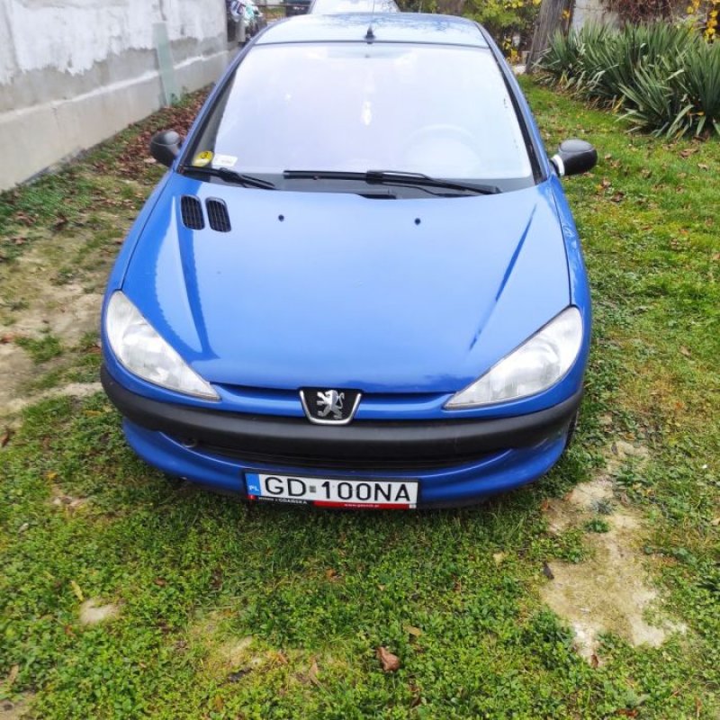 Peugeot 206 2.0 HDI 90KM