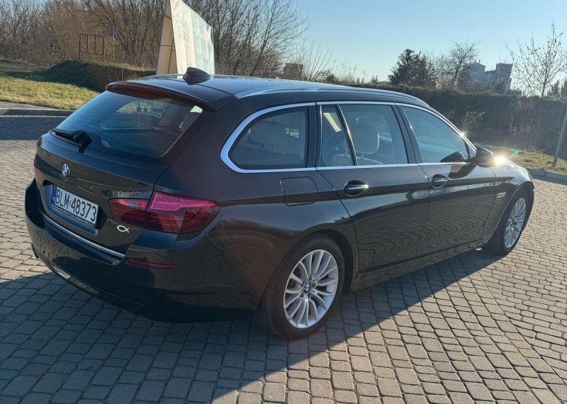 BMW Seria 5 520d xDrive Luxury Line, Polski salon, - 02