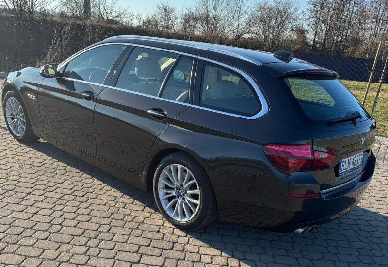 BMW Seria 5 520d xDrive Luxury Line, Polski salon, - 03